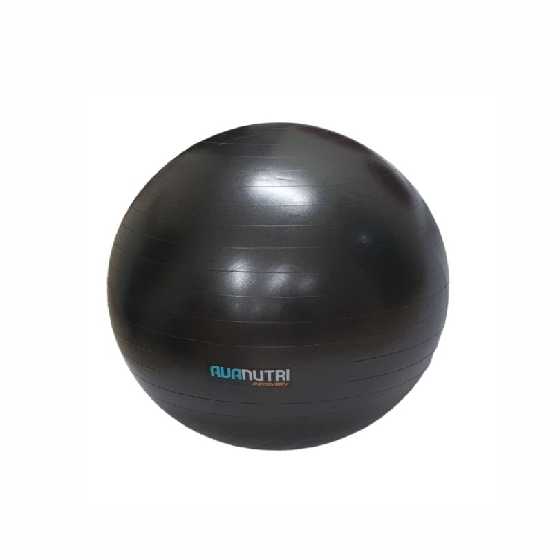 Bola Professional Gym Ball - 65cm Acompanha DVD com orientações para  exercícios e bomba para inflar.